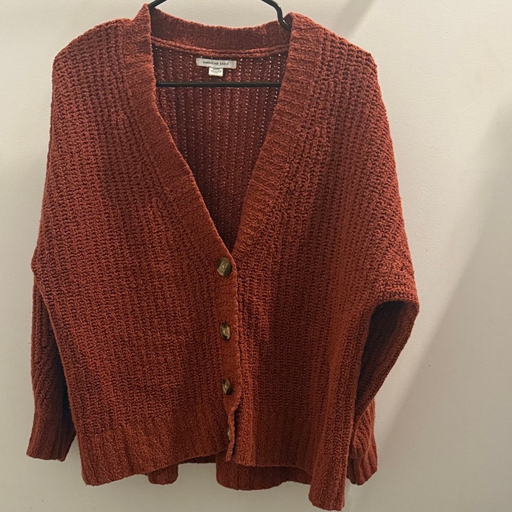 American Eagle Outfitters Rust Cardigan Sweater